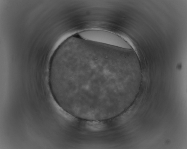 X0000092091147200710101055