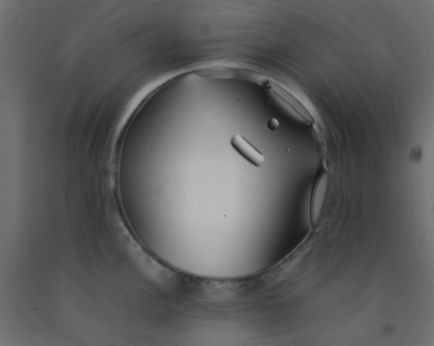 X0000092091148200710101055