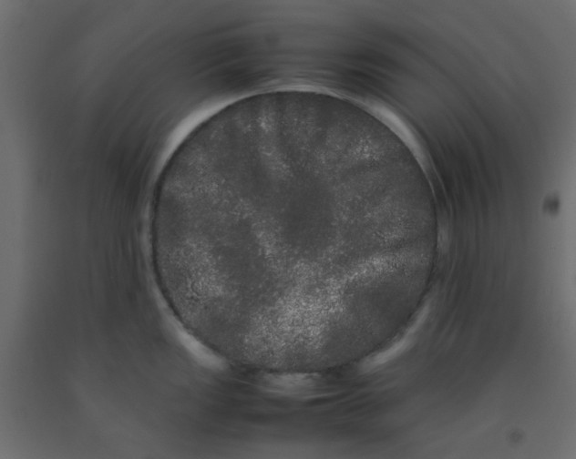 X0000092091149200710101055