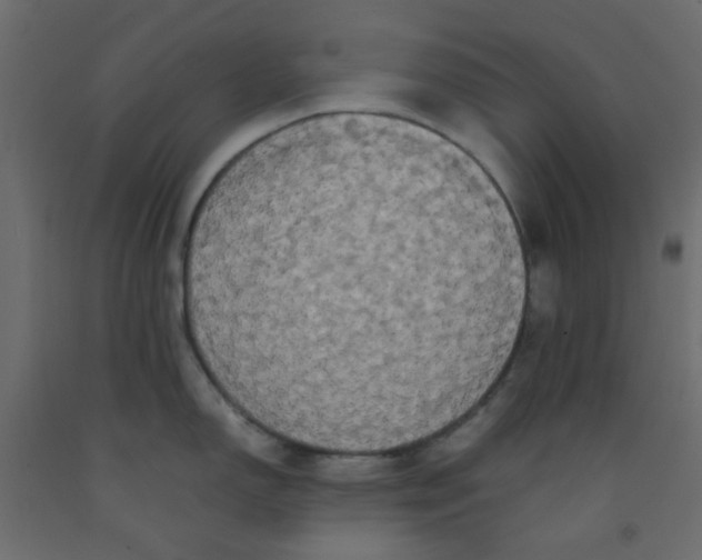 X0000092091150200710101055