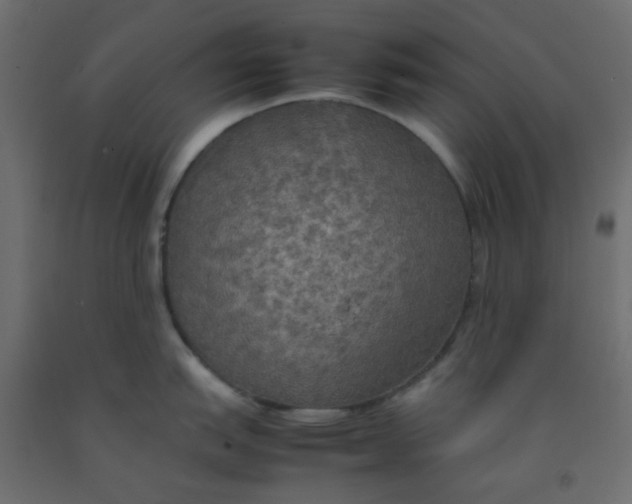 X0000092091151200710101055