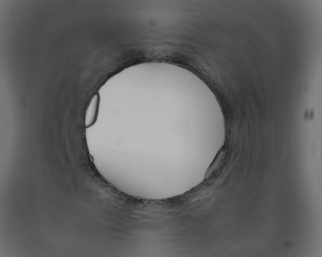 X0000092091153200710101055