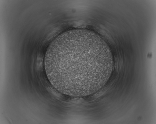 X0000092091154200710101055