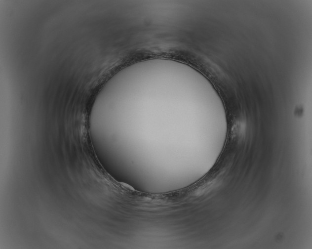 X0000092091156200710101055