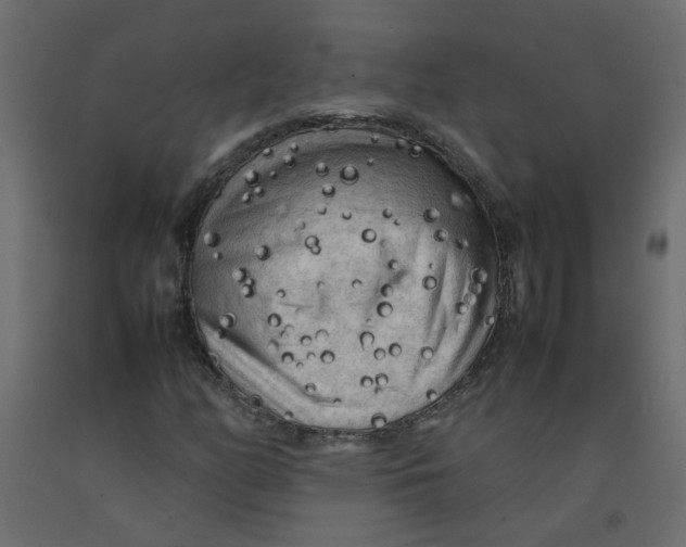 X0000092091158200710101055