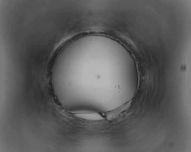 X0000092091160200710101055