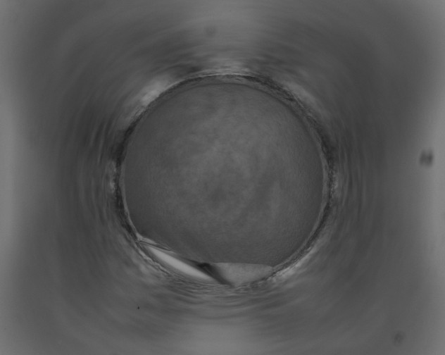 X0000092091161200710101055