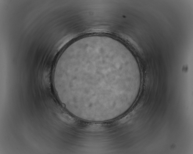 X0000092091162200710101055