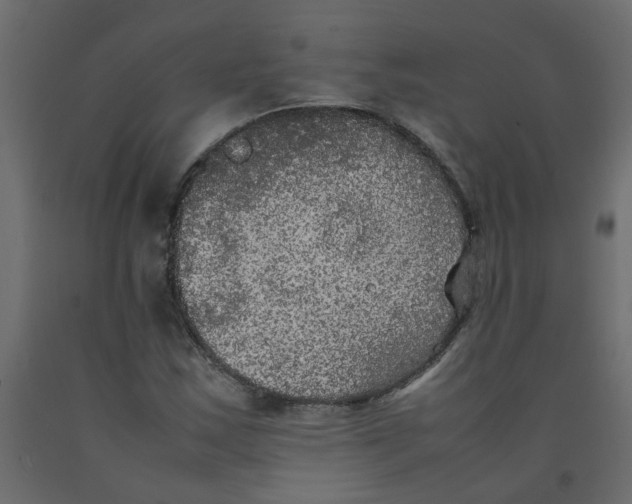 X0000092091163200710101055