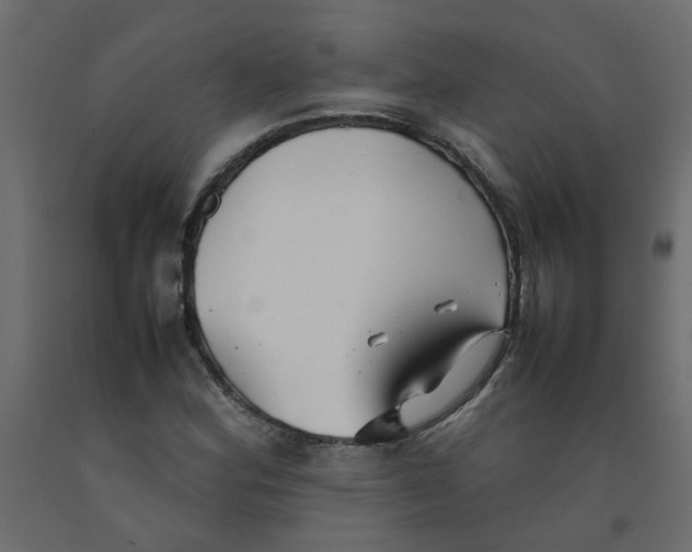 X0000092091164200710101055