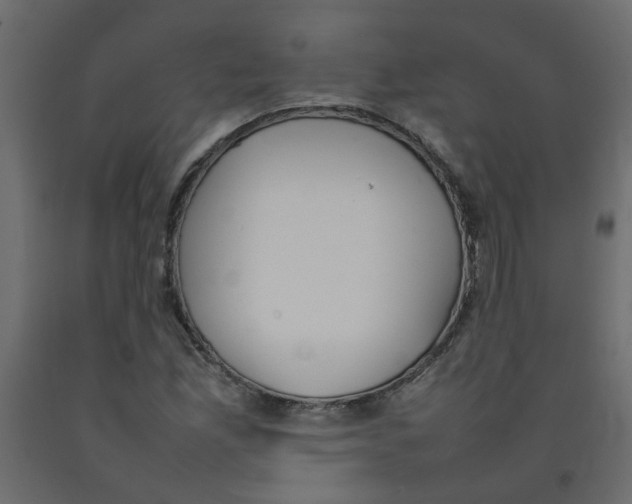 X0000092091165200710101055