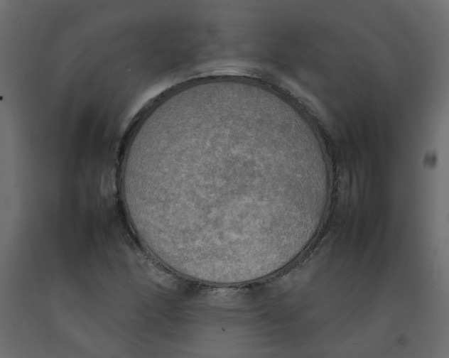 X0000092091166200710101055