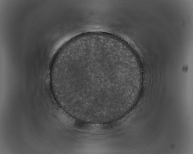 X0000092091167200710101055