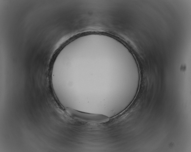 X0000092091168200710101055