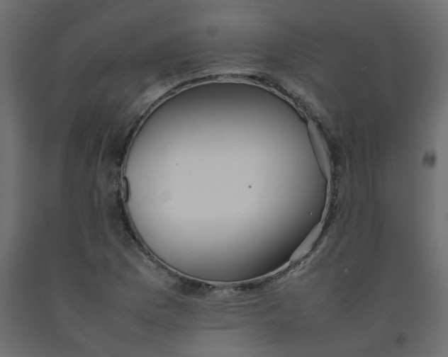 X0000092091169200710101055