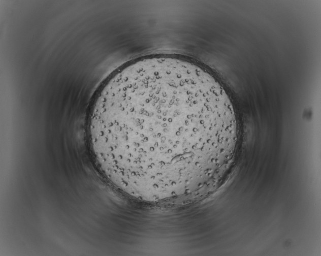 X0000092091170200710101055