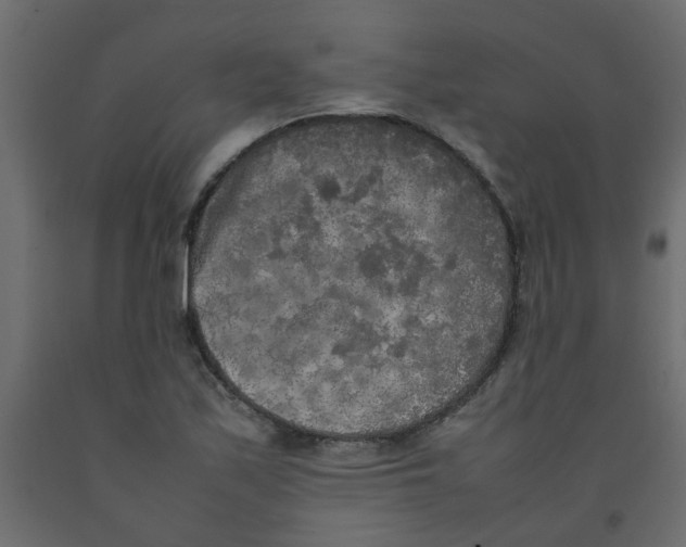 X0000092091171200710101055