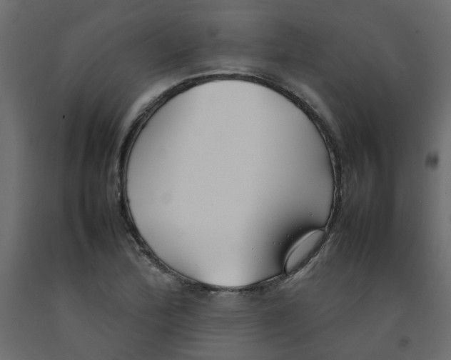 X0000092091172200710101055