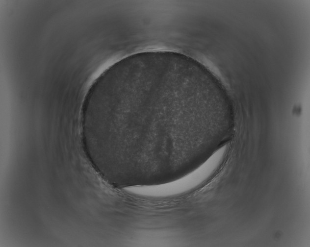 X0000092091173200710101055