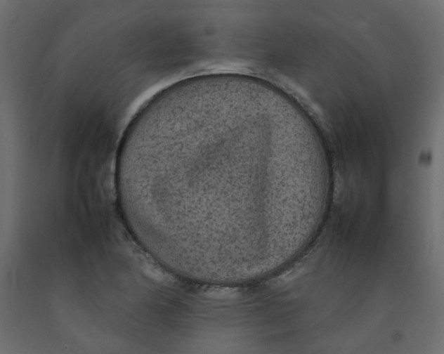 X0000092091174200710101055