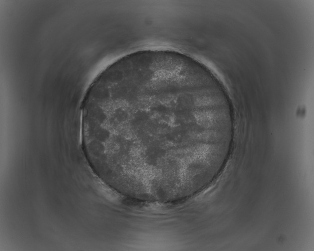 X0000092091175200710101055