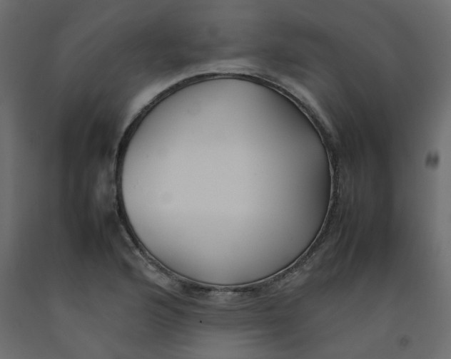 X0000092091176200710101055