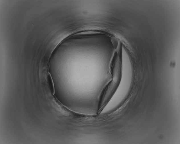 X0000092091177200710101055