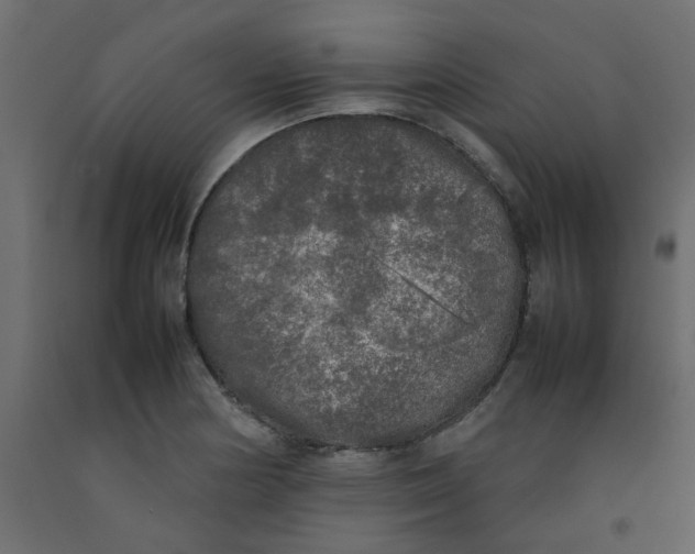X0000092091178200710101055