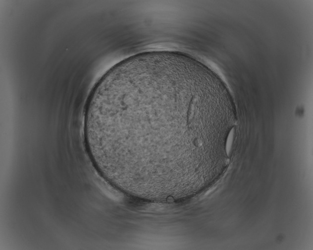 X0000092091179200710101055