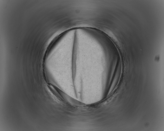 X0000092091181200710101055
