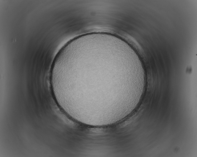 X0000092091182200710101054