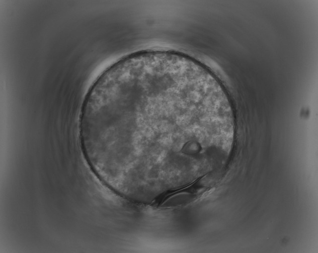 X0000092091183200710101054