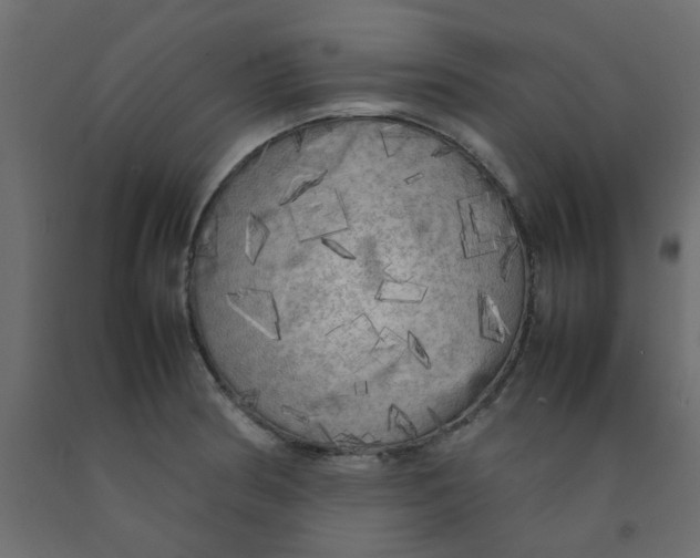 X0000092091186200710101054