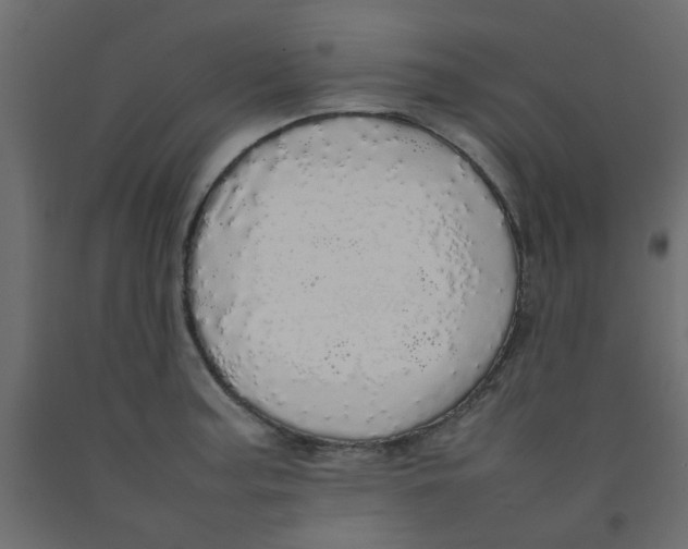 X0000092091187200710101054