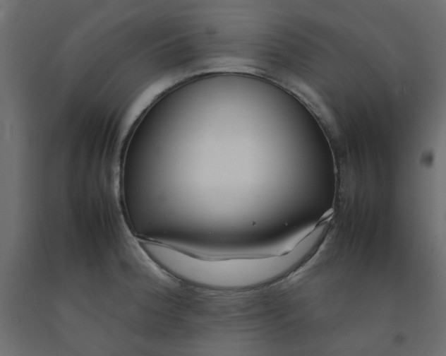 X0000092091188200710101054