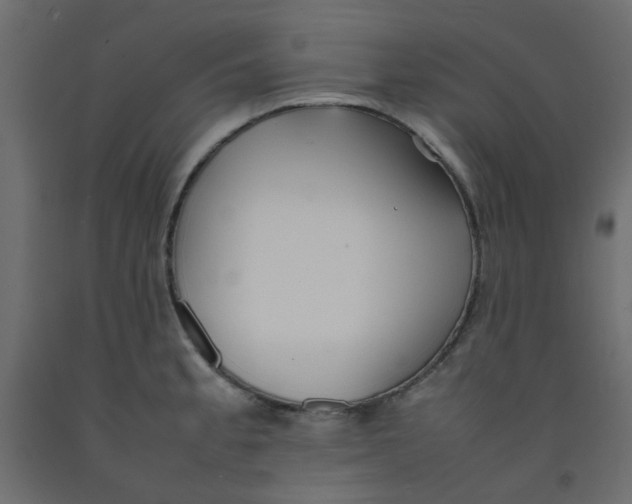 X0000092091189200710101054