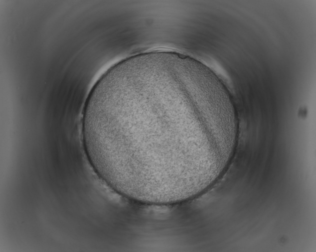 X0000092091190200710101054