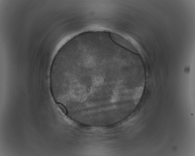 X0000092091191200710101054