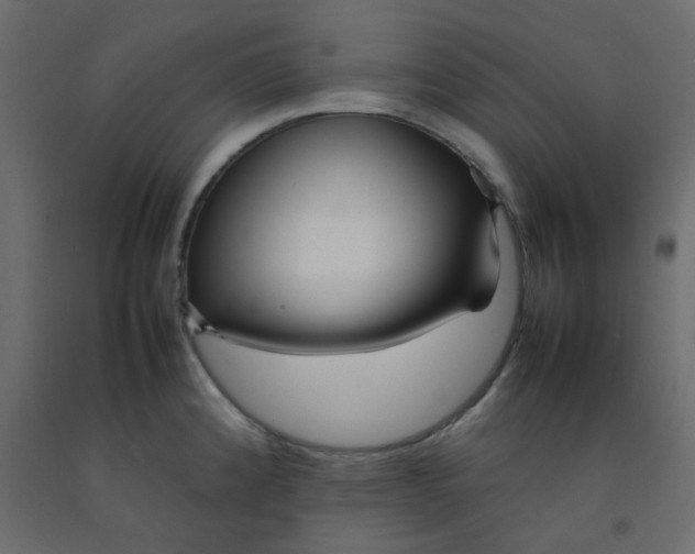 X0000092091192200710101054