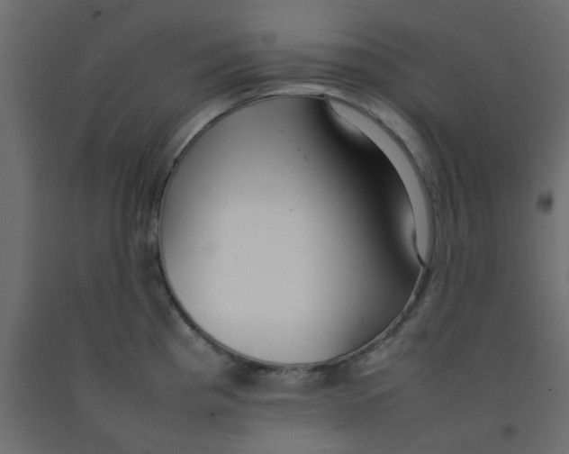 X0000092091193200710101054