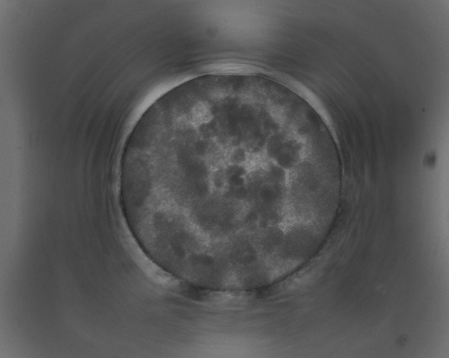 X0000092091195200710101054