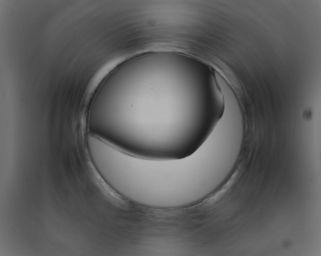 X0000092091196200710101054