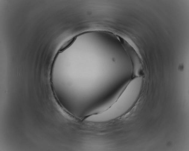 X0000092091197200710101054