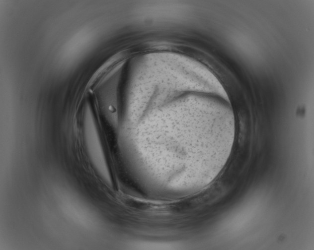 X0000092091198200710101054