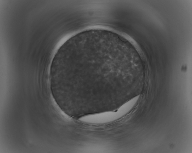 X0000092091199200710101054