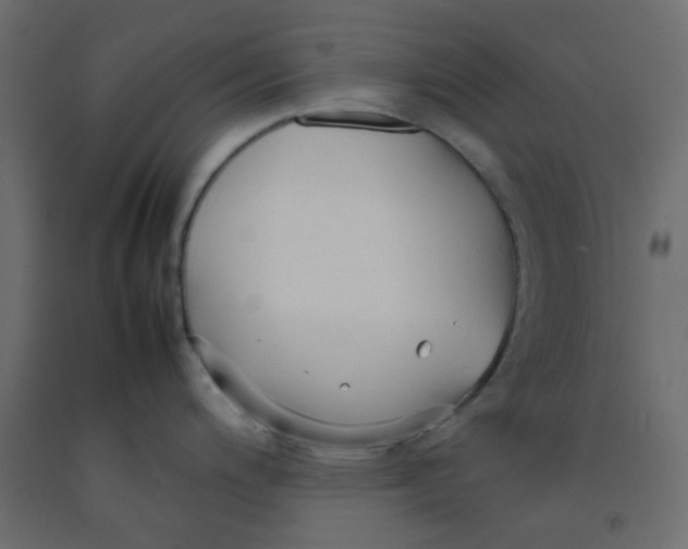 X0000092091200200710101054