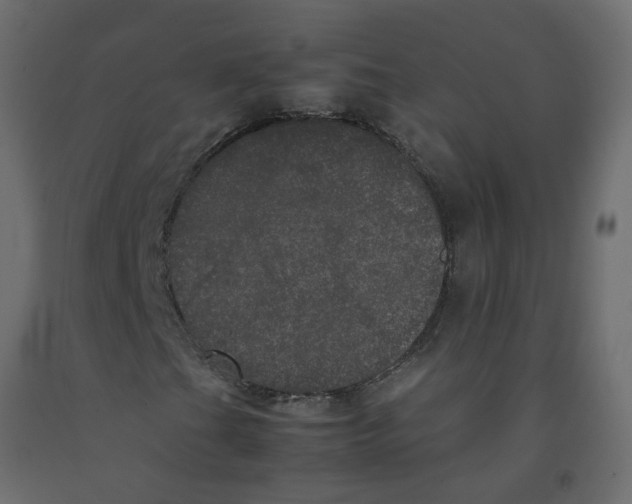 X0000092091201200710101054