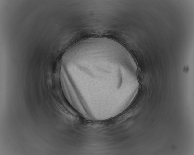 X0000092091202200710101054