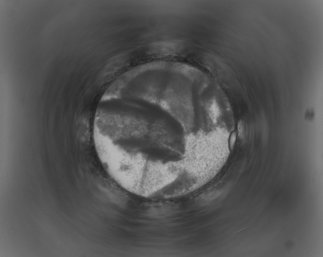 X0000092091203200710101054