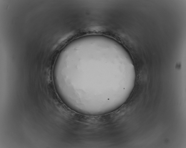 X0000092091205200710101054